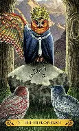 Tarot Of The Owls