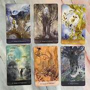 Treekeepers Oracle