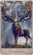DIVINE NATURE ORACLE