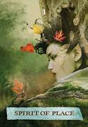 Enchanted Map Oracle - Colette Baron-Reid