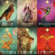 The Spirit Animal Oracle - Colette Baron-Reid