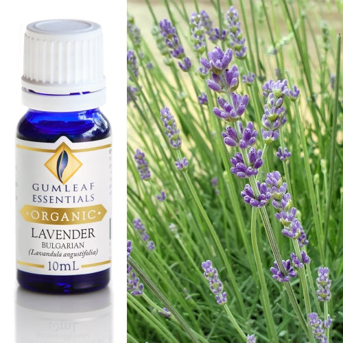 Organic Lavender Essential Oil