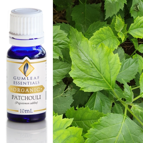 Patchouli Essential Oil