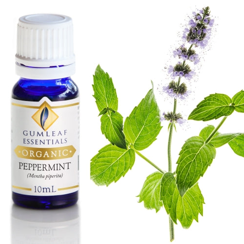 Organic Peppermint Essential Oil
