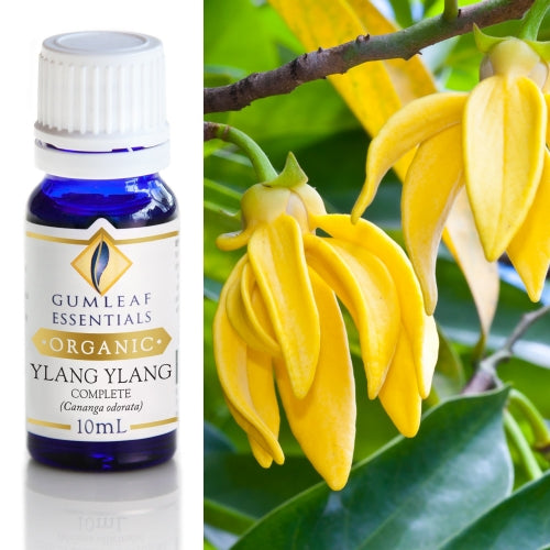 Ylang Ylang  Organic Essential Oil
