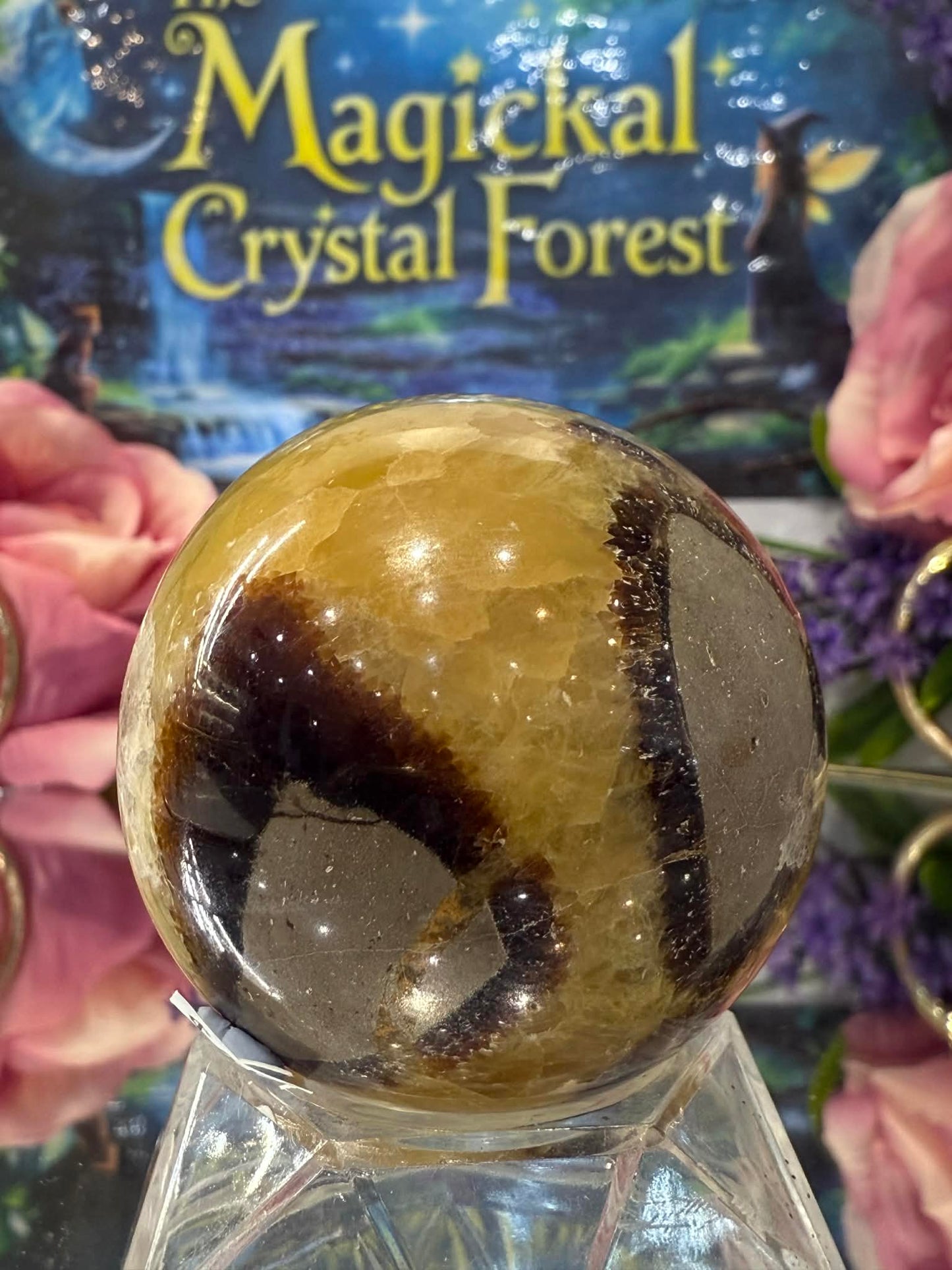 Septarian Sphere 1