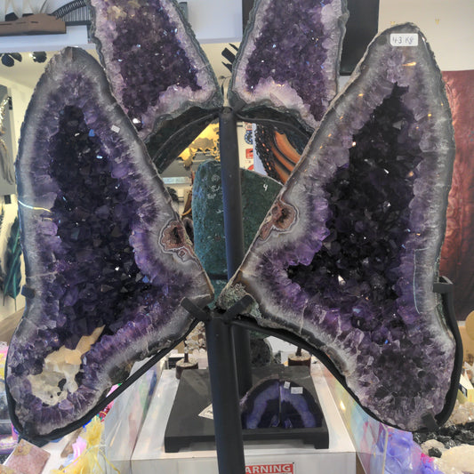 Amethyst wings