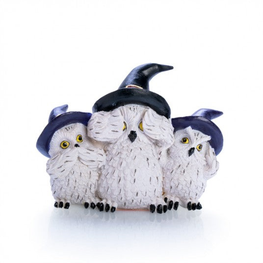 Wise owl family