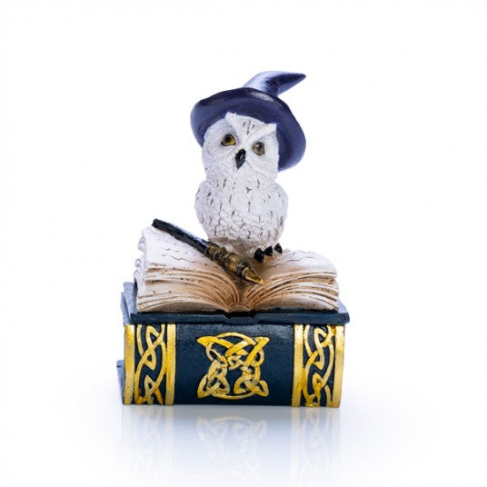 While owl on trinket box book.