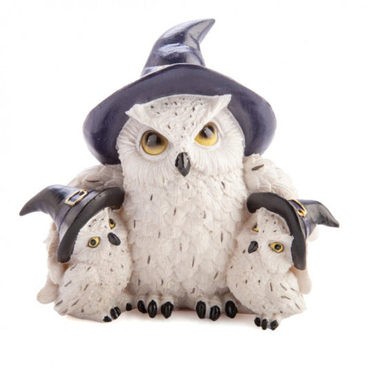 Owl Family