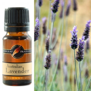 Australian Lavender Fragrant Oil