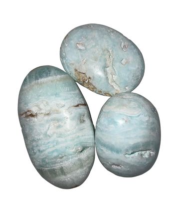 Caribbean Calcite Palm Stones