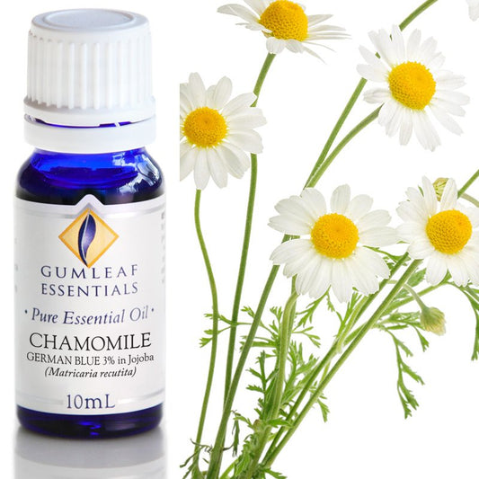 Chamomile Essential Oil