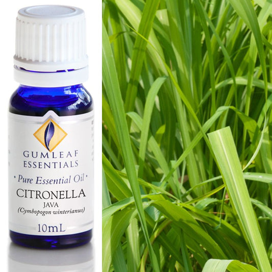 Citronella Essential Oil