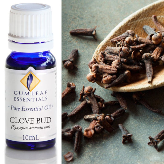 Clove Bud Essential Oil