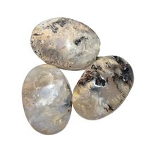 Dendritic Opal Palm Stones