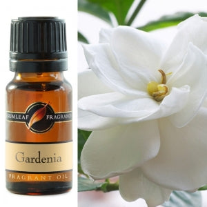 Gardenia Fragrant Oil