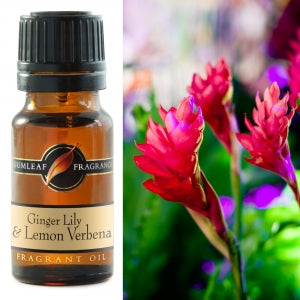 Ginger Lily & Lemon Verbena Fragrant Oil