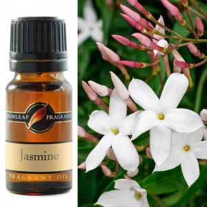 Jasmine Fragrant Oil