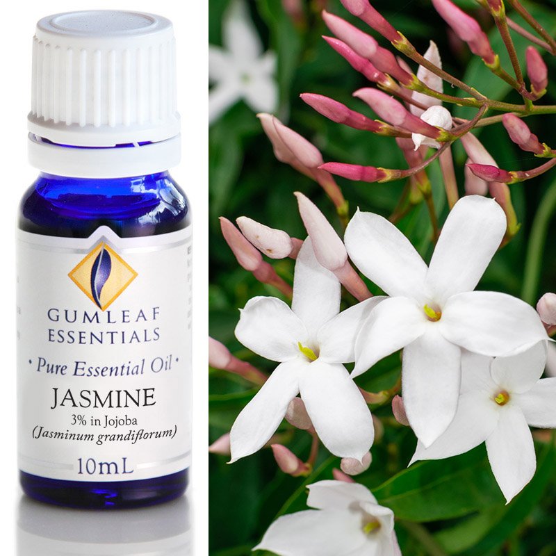 Jasmine Essential Oil