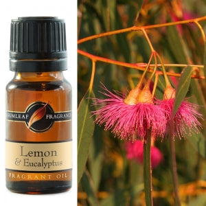 Lemon & Eucalyptus Fragrant Oil