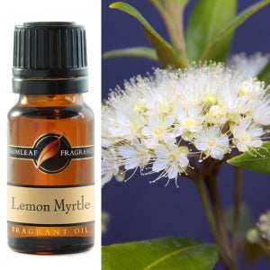 Lemon Myrtle Fragrant Oil