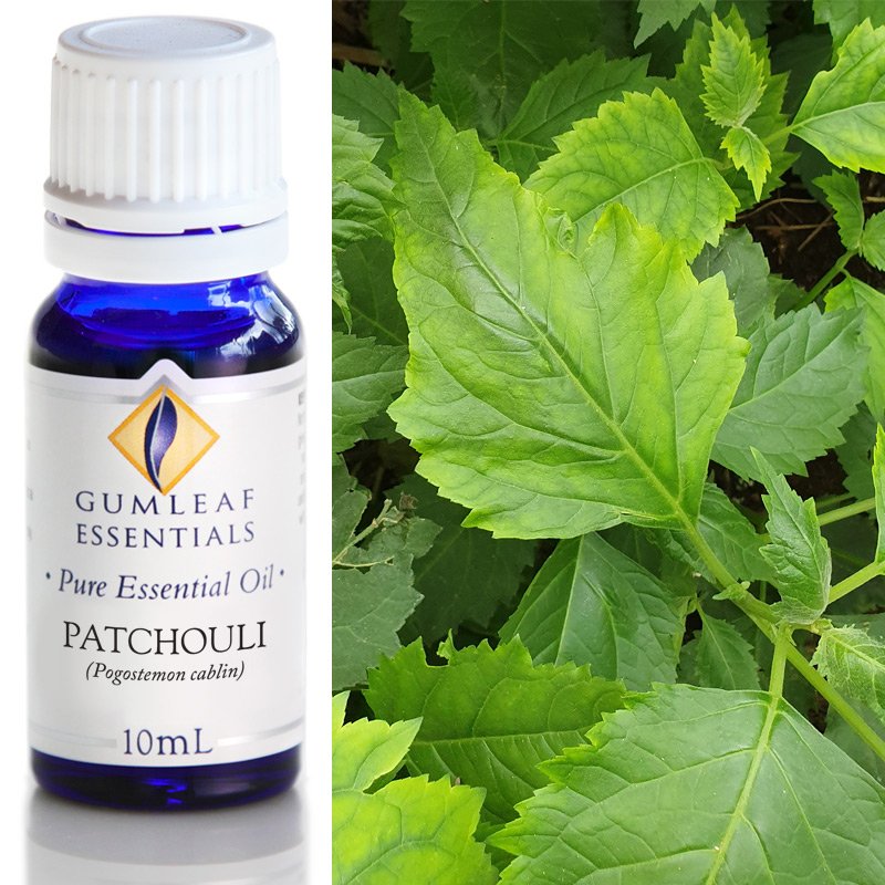 Patchouli Essential Oil