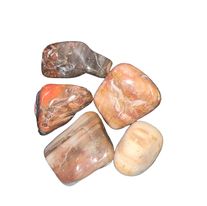 Petrified Wood Tumbled