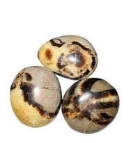 Septarian Palm Stones