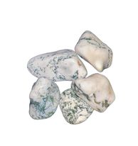 Tree Agate Tumbled